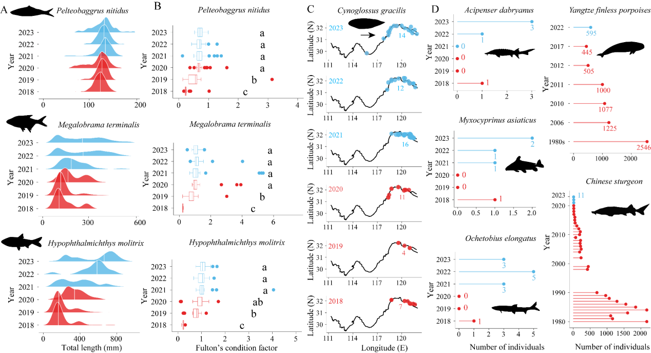 球盟会(中国)研究揭示长江“十年禁渔”促进生物多样性恢复的生态机制